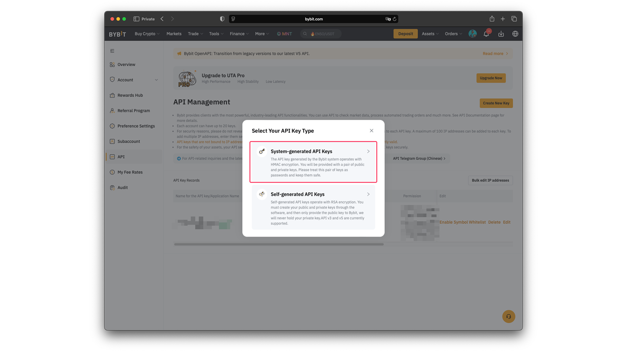 System-generated API Keys option